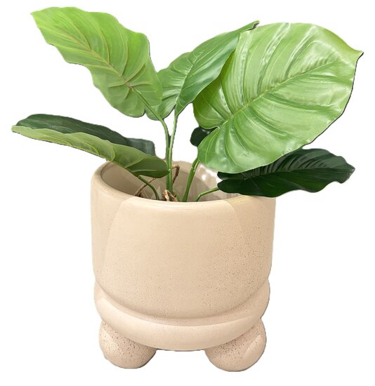 japandi bloempot voor beige interieur