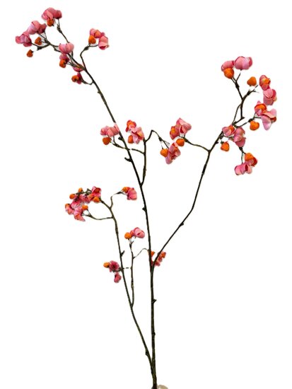 kunsttak bloesem, concept blanco