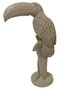 toucan, decoratief voor in huis bij concept blanco
